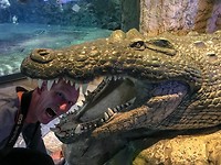 IMG_0185