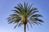 IMG_0528