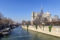 IMG_0685