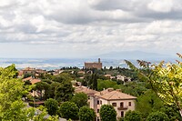 IMG_7239