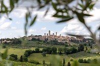 IMG_7310