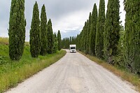 IMG_7330