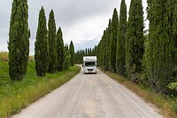 IMG_7335