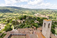 IMG_7320
