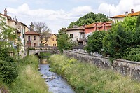 IMG_7329