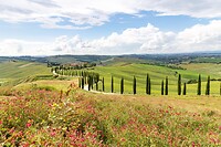 IMG_7349