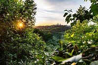 IMG_7260