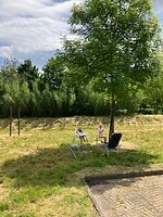 IMG_1865