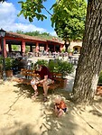 IMG_0401