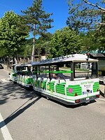 IMG_1878