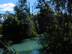 DSCN3930