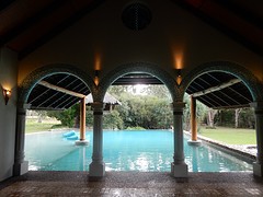 DSCN3810