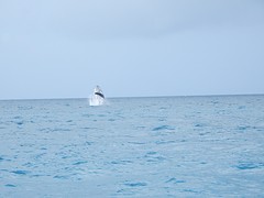 DSCN3762