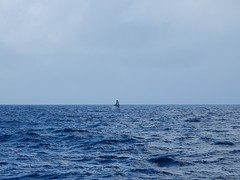 DSCN3753