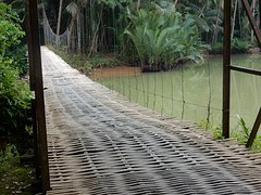 DSCN0648