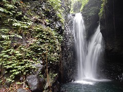 DSCN0732