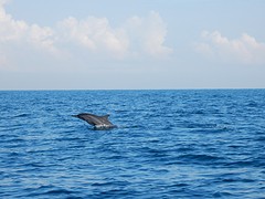 DSCN0778