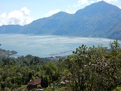 DSCN0781