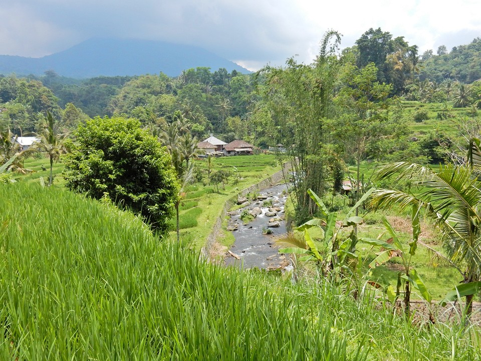 DSCN0846