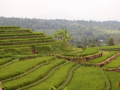DSCN0861