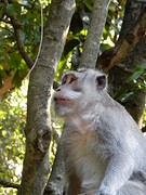 DSCN0881