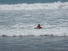 DSCN0912
