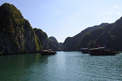 DSC_1193