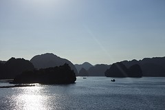 DSC_1202