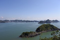 DSC_1236
