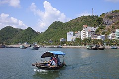 DSC_1241