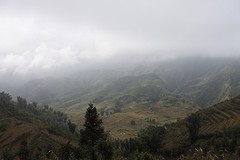 DSC_1266