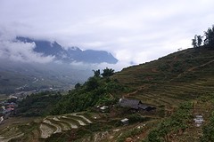 DSC_1306