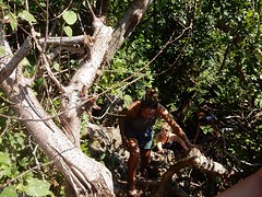 DSCN0972