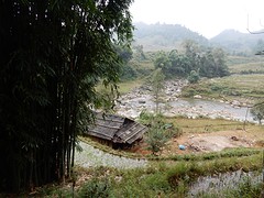 DSCN1037