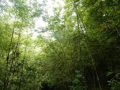 DSCN1079