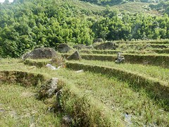 DSCN1082