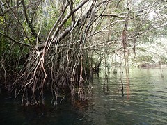 DSCN1151