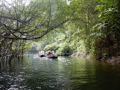 DSCN1152