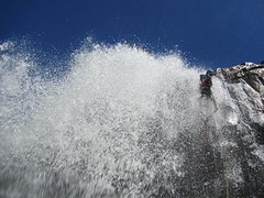 IMG_4895