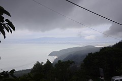 DSC_1485