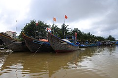 DSC_1512