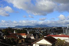 DSC_1598