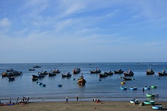 DSC_1704