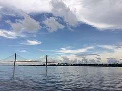IMG_5374