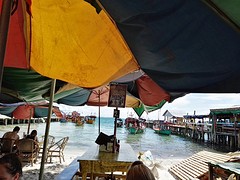 IMG_5613
