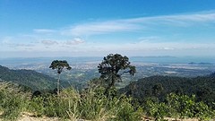 IMG_5614