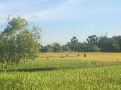 IMG_5598