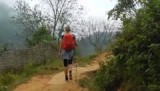 sapa