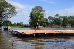 IMG_5849