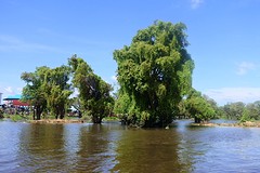 IMG_5850